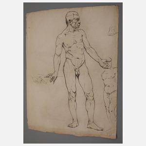 Konvolut Aktzeichnungen