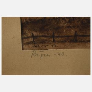 Joachim Daerr, "Rügen"