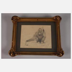 Wilhelm Kuhnert, attr., Orang-Utan