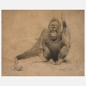 Wilhelm Kuhnert, attr., Orang-Utan