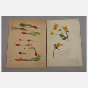 Willy Mulot, Sammlung Zeichnungen