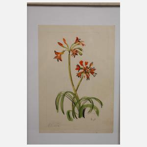 Prof. Albert Schaefer-Ast, Drei Arbeiten