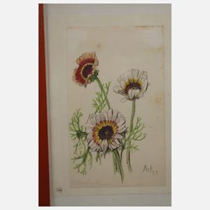 Prof. Albert Schaefer-Ast, Drei Arbeiten