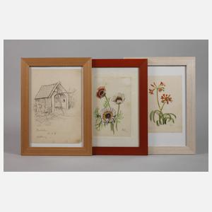 Prof. Albert Schaefer-Ast, Drei Arbeiten