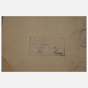 Prof. Albert Schaefer-Ast, "Hollermus"