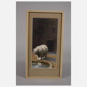 Willy Tiedjen, Paar Eisbärendarstellungen