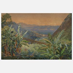 Prof. Max Zaeper, Blick auf Rio de Janeiro