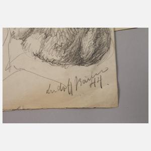 Umfangreicher Konvolut Tierzeichnungen