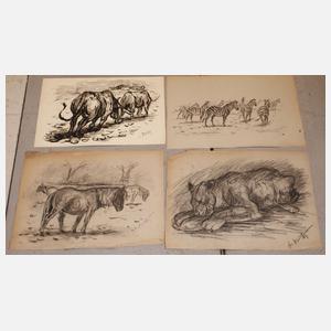 Umfangreicher Konvolut Tierzeichnungen
