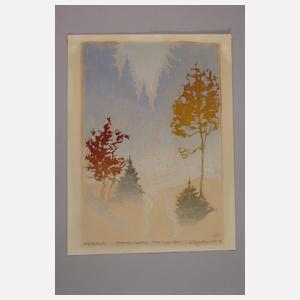 Erich Buchwald-Zinnwald, Winter im Erzgebirge