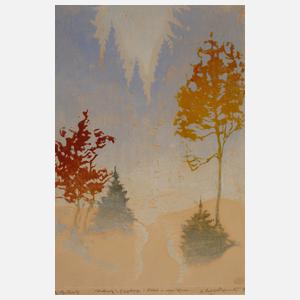 Erich Buchwald-Zinnwald, Winter im Erzgebirge