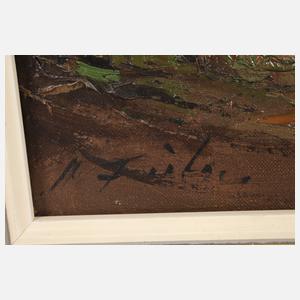 Manfred Feiler, Windmühle im Abendlicht