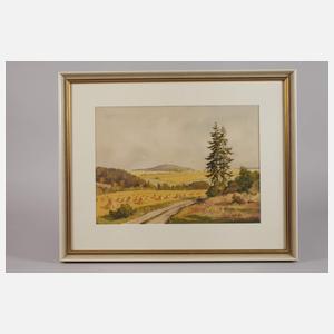 Siegfried Hauffe, Der Kuhberg bei Netzschkau