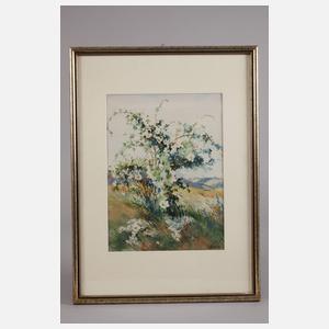 Siegfried Hauffe, Sommer im Vogtland