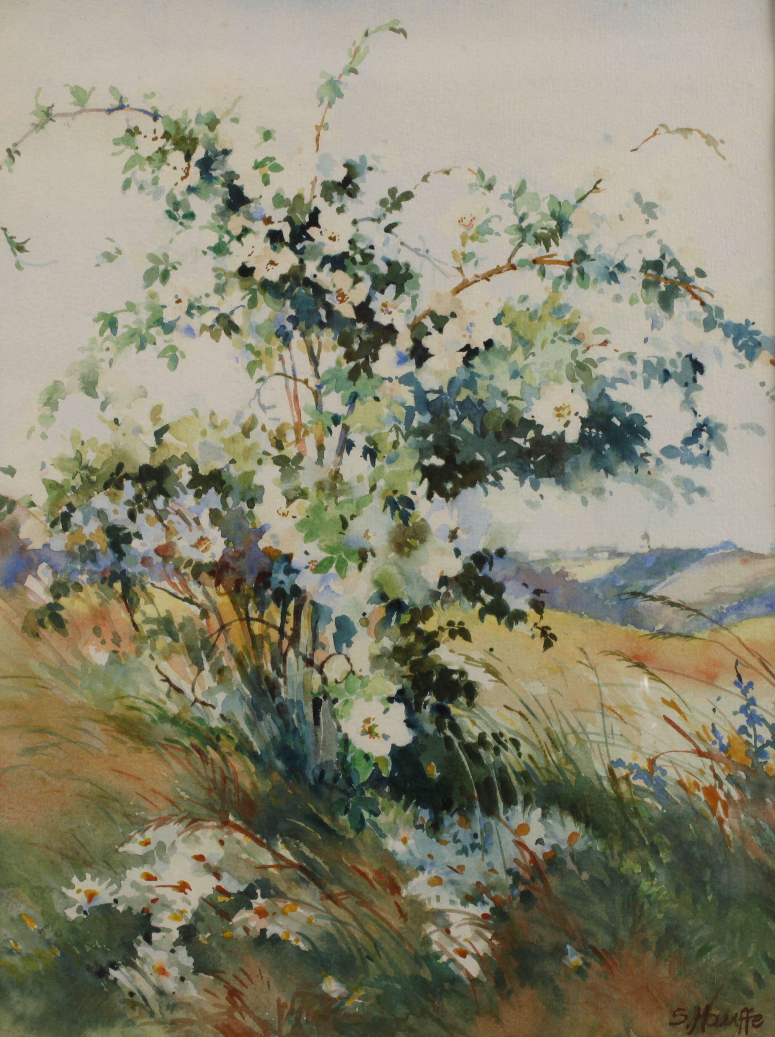 Siegfried Hauffe, Sommer im Vogtland