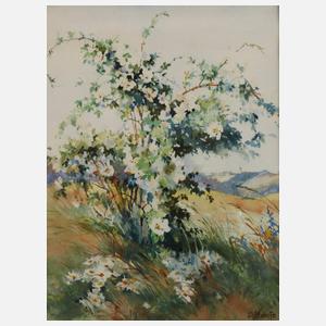 Siegfried Hauffe, Sommer im Vogtland