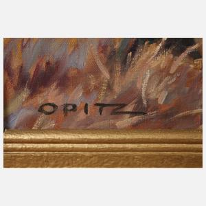 Kurt Opitz, Sommerliche Heide