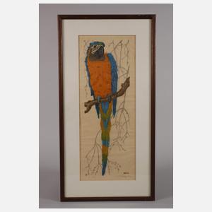 Martin Erich Philipp, "Blauflügelara"