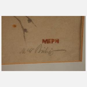 Martin Erich Philipp, "Blauflügelara"