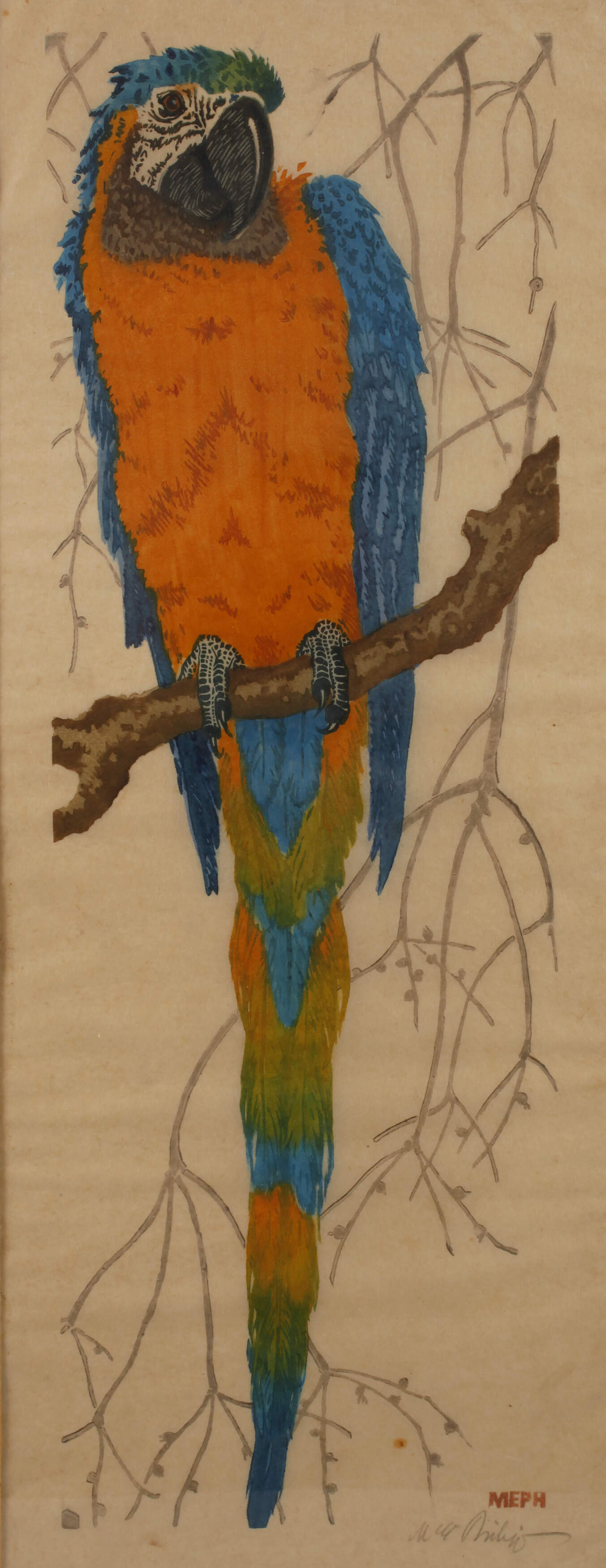 Martin Erich Philipp, "Blauflügelara"