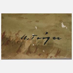 Alfred Tröger, "Hochmoor bei Gottesgab"