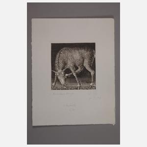 Prof. Baldwin Zettl, Zwölf Graphikkonvolut