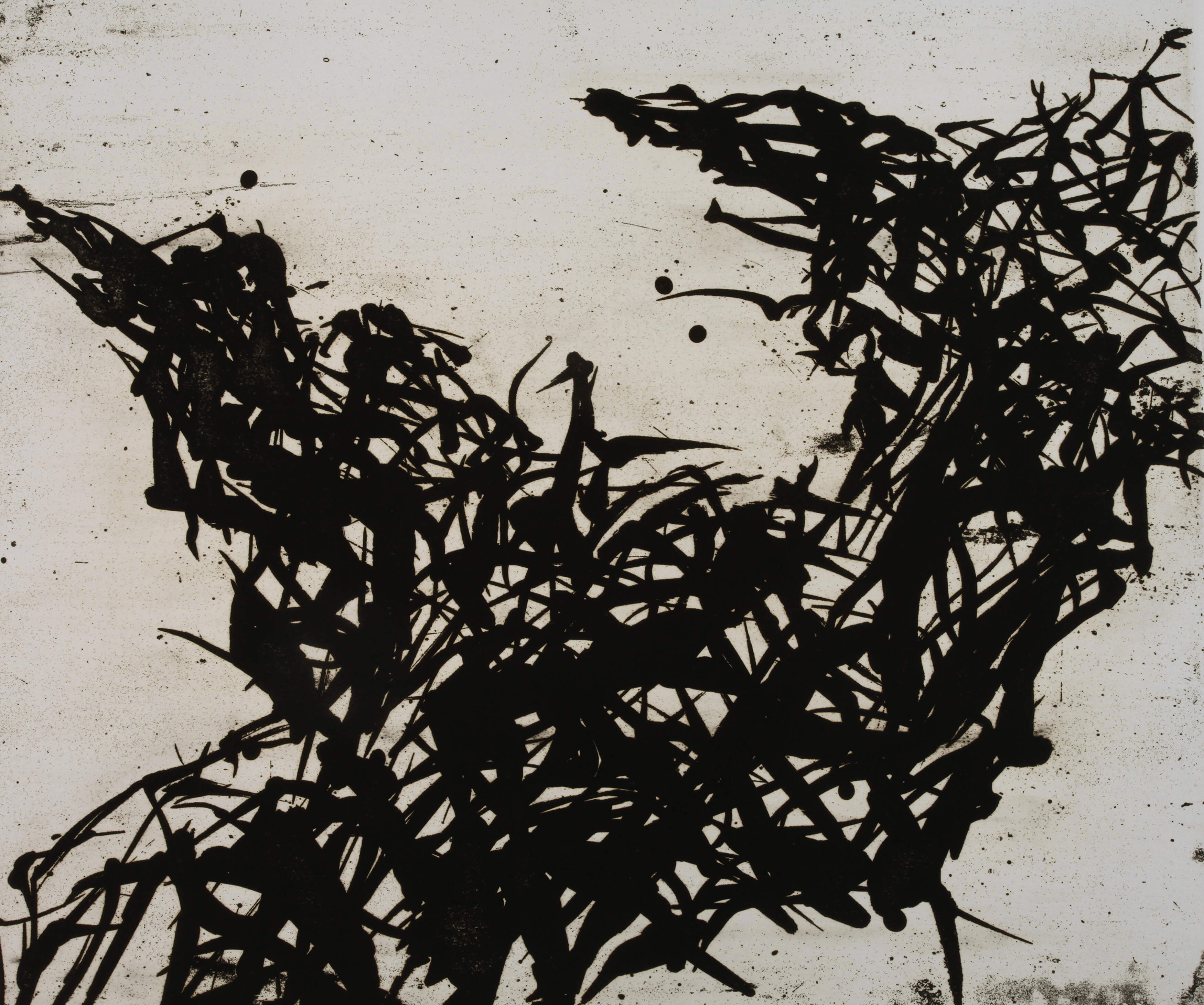 Prof. Max Uhlig, "La Vigne IV"