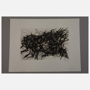 Prof. Max Uhlig, Gebüsch