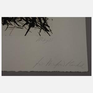 Prof. Max Uhlig, Gebüsch