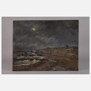 Prof. Heinz Werner, Nachts an der Küste