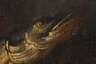 Barockes Fischstillleben