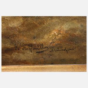 Karl Stuhlmüller, Der Quacksalber