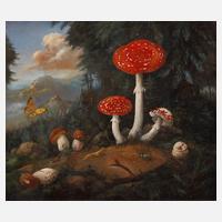 Pilze im Wald111