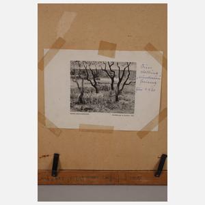 Hansl Bock, Marienerscheinung