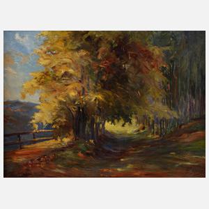 E. Göpel, Herbstlicher Waldweg