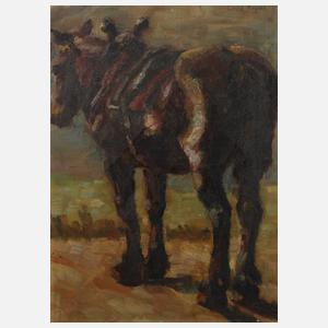 Georg Hilgers, Pferd