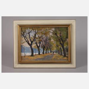 Tivadar Holba, Allee am Flussufer