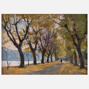 Tivadar Holba, Allee am Flussufer