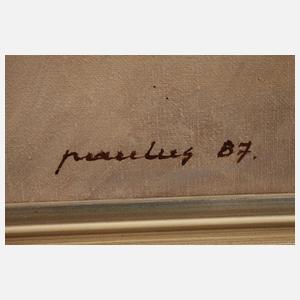 Jim Paulus, Ansicht Temmels an der Obermosel