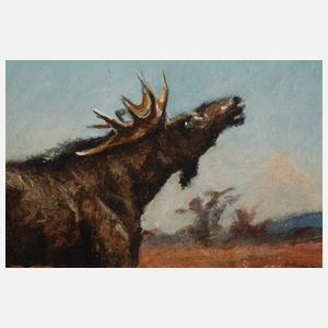 Edwin Perkuhn, attr., Elch im Moor