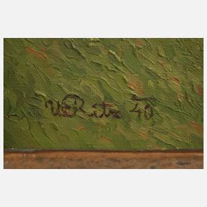 W. Ritz, See in den Alpen