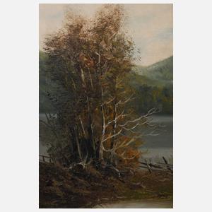 Karl Schmidbauer, "Am Griessee in Oberbayern"