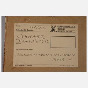 Hans-Dieter Schwarz, "Johann Friedrich Naumann-Museum"