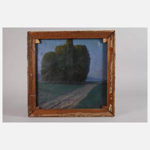 Heinrich Maria Seck-Carton, Wiesenlandschaft