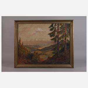 J. Stein, Sommerliche Gebirgslandschaft