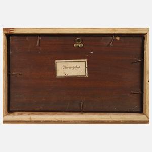 Jan Wolski, "Steppenfahrt"