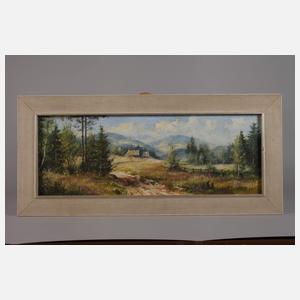 Sommerliche Gebirgslandschaft