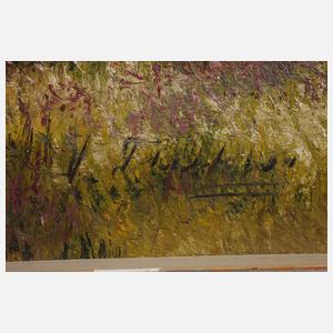 Sommerliche Gebirgslandschaft