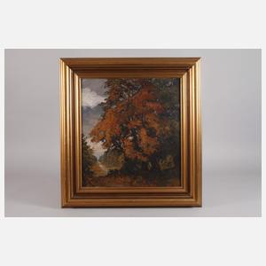 Herbstliche Baumgruppe