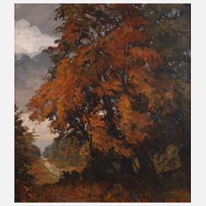 Herbstliche Baumgruppe